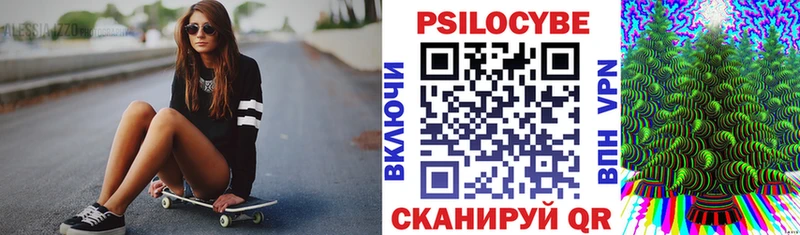 Купить закладки  Балаково  Псилоцибиновые грибы Psilocybe 